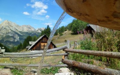 Randonnée et trek dans le Queyras : nos nouveaux circuits