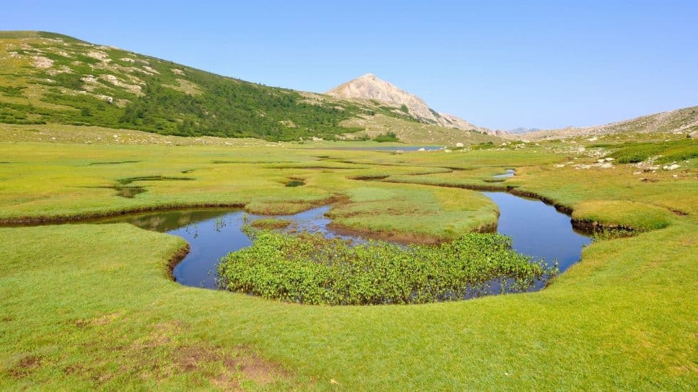 Lac Nino