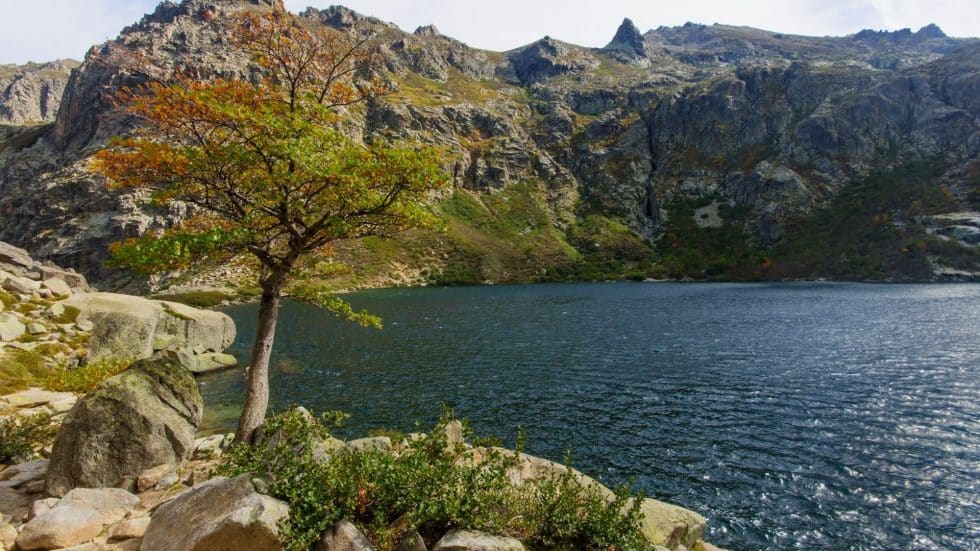 Lac De Melo