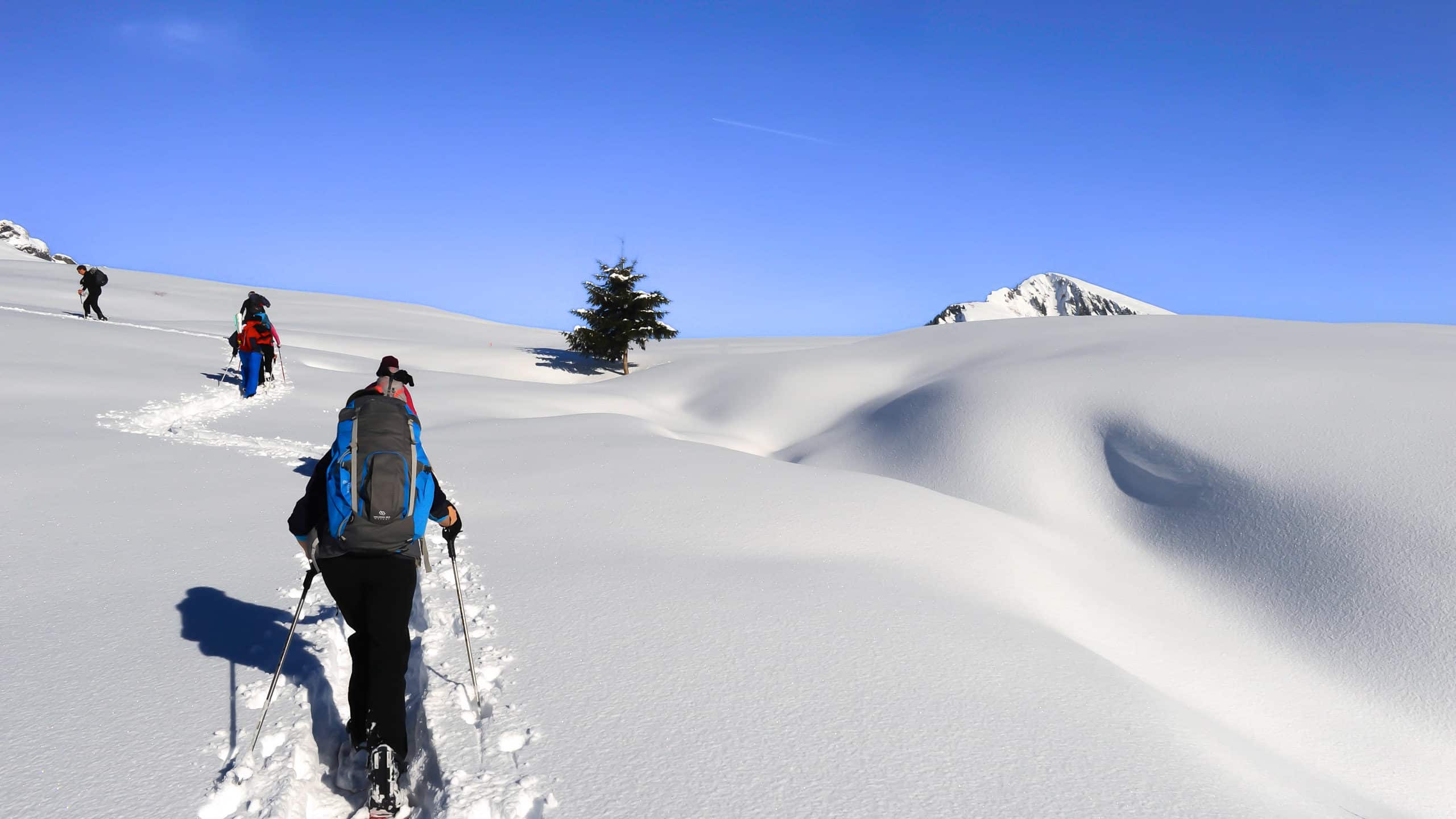 Raquettes Tour De La Vallée De La Clarée