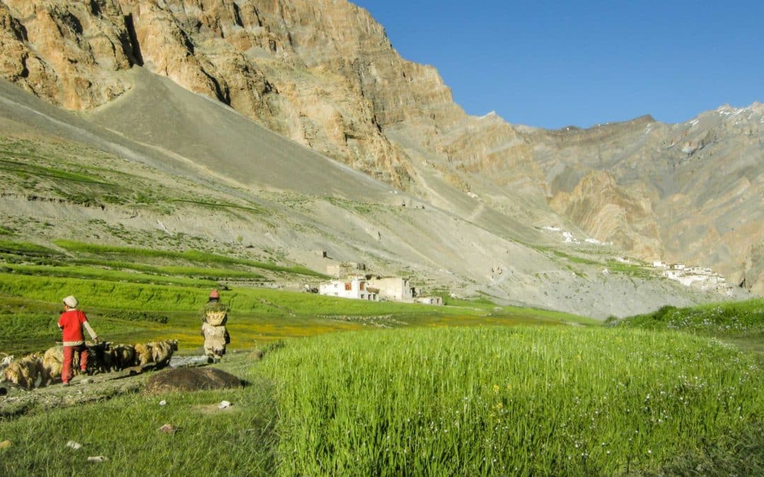 Villages and high passes of Ladakh