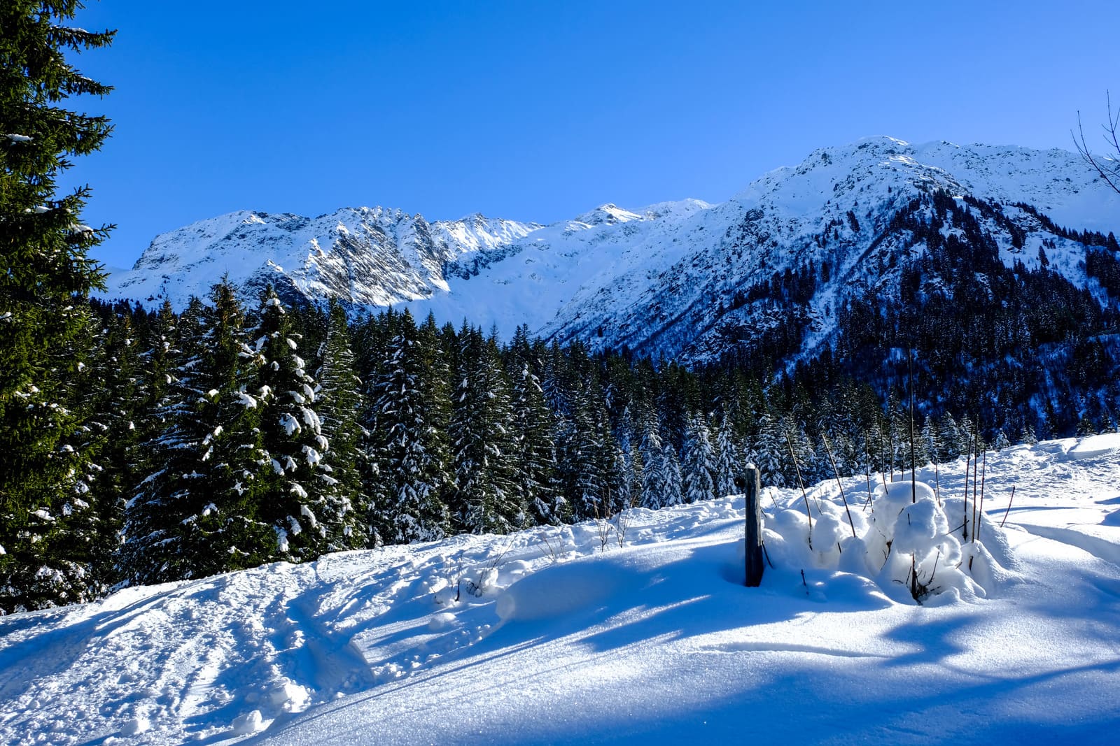 Refuge Des Prés Raquettes