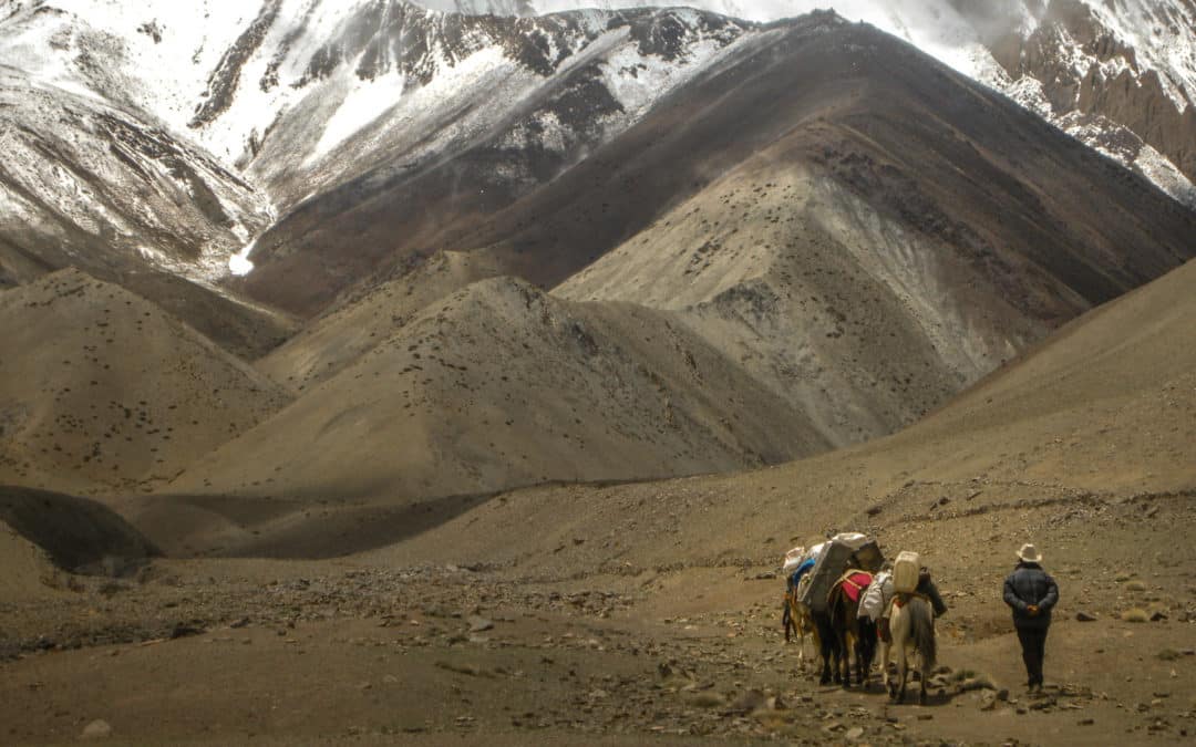 Randonnée sur-mesure en hiver : concevez votre aventure avec un guide expert Watsé