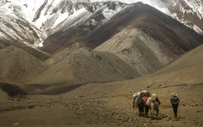 Randonnée sur-mesure en hiver : concevez votre aventure avec un guide expert Watsé