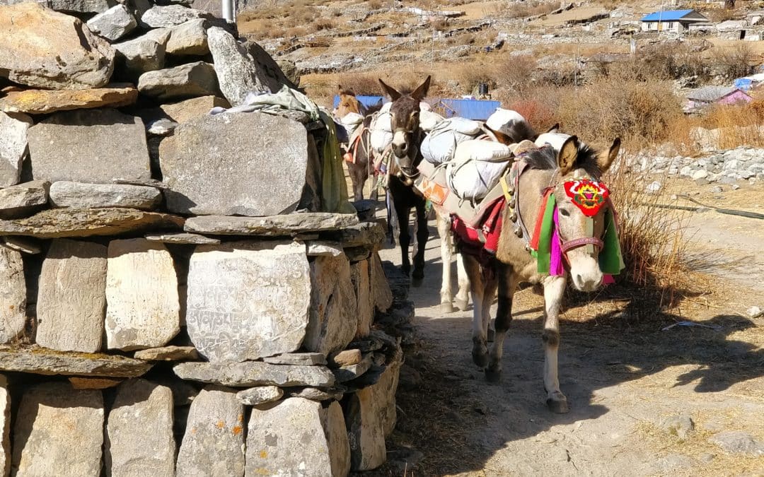 Manaslu : le trek encore sauvage au Népal (avant qu’il ne devienne trop populaire)