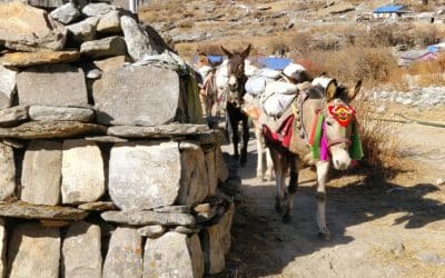 Manaslu : le trek encore sauvage au Népal (avant qu’il ne devienne trop populaire)