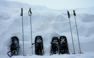 Pourquoi faire un trek en raquettes cet hiver ? 10 raisons qui vont vous convaincre