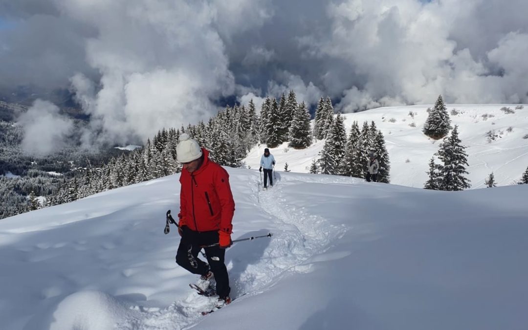Séjour d’hiver dans les Dolomites : trek en raquettes ou à ski, que choisir ?