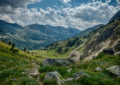 Montagnes et sapins dans les pyrénées
