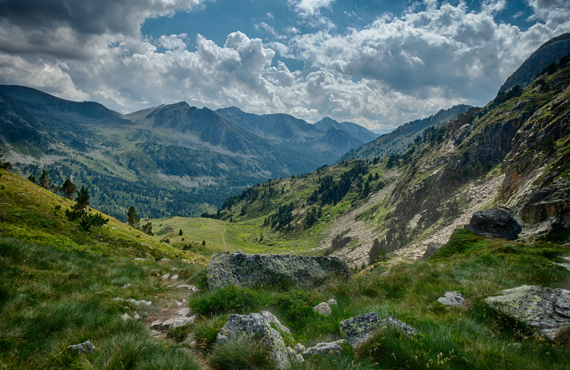 Montagnes et sapins dans les pyrénées