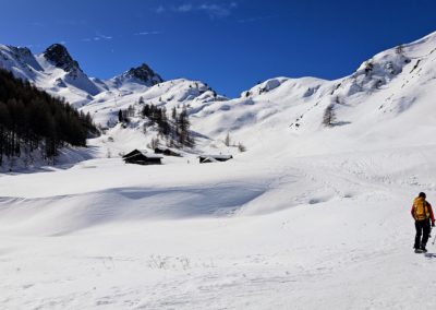 4ef0e135 4d6d 4025 8e52 2c77ed03e029