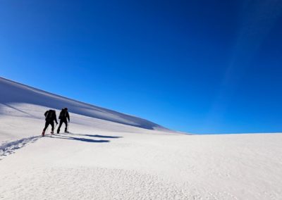 53e2aaed C5ee 46e4 Aedf 5f8ee566f8f0