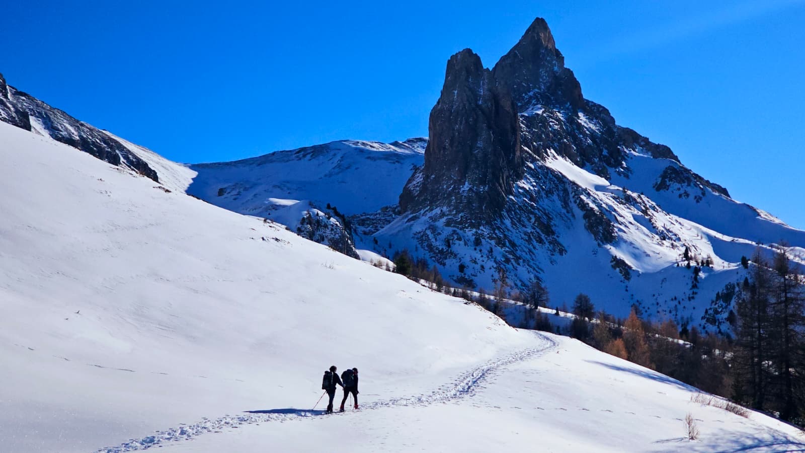 7b7e9bb7 D765 4533 A756 69fee17822ad