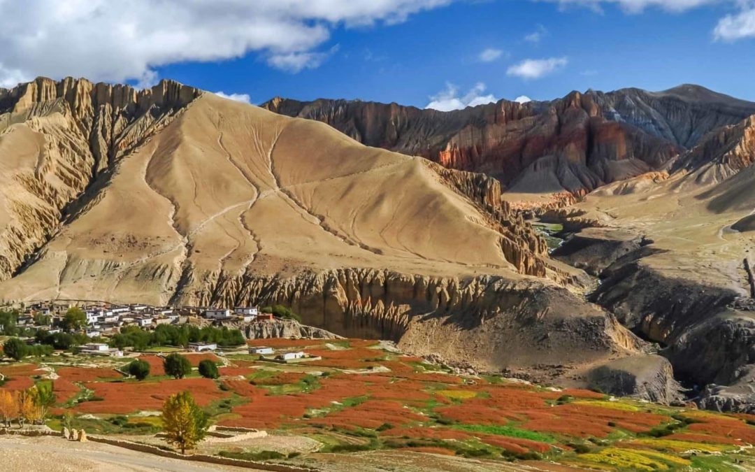 Pourquoi partir en trek au Ladakh est une expérience unique : Le guide ultime de l&rsquo;aventure himalayenne