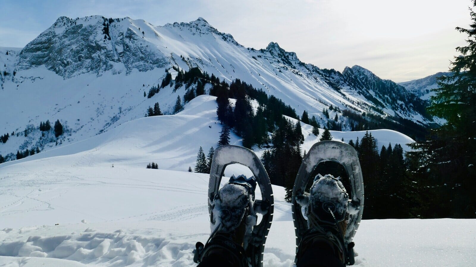 Raquettes Igloo Galerie