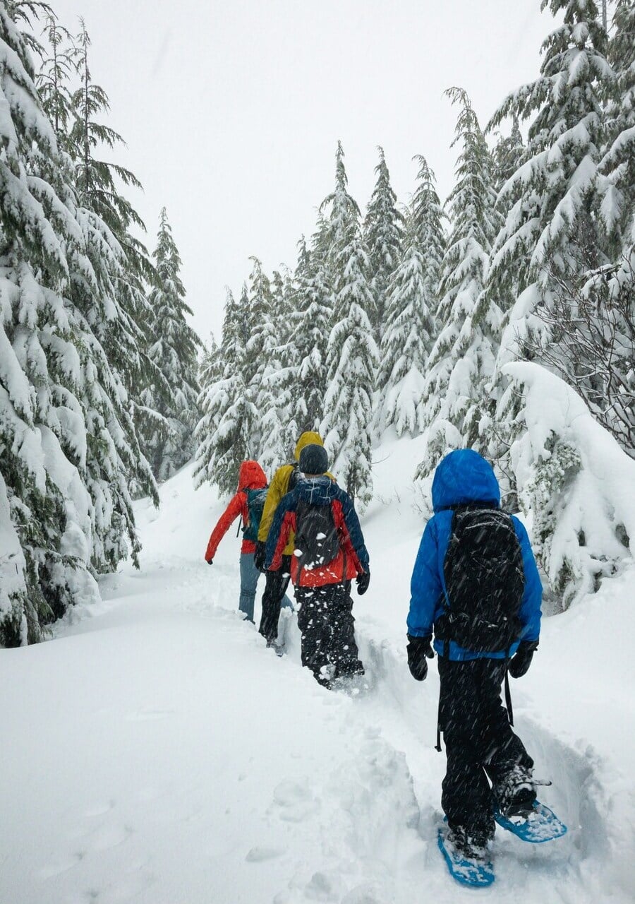 Raquettes Igloo Galerie 2