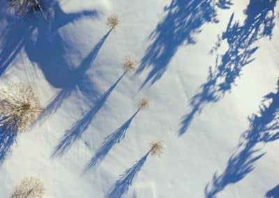 Raquettes Igloo Galerie 3