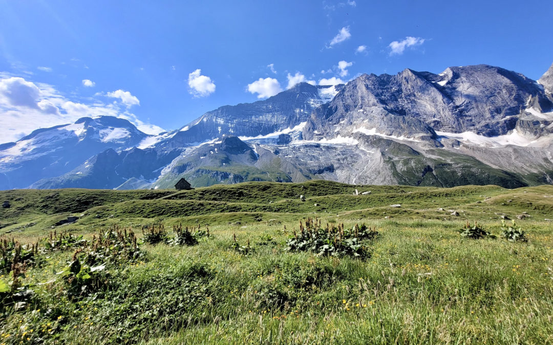 Tour de la Grande Casse – Vanoise –