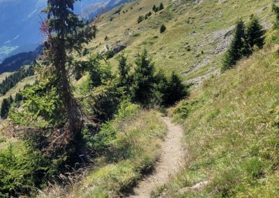 Séjour en vanoise chemin
